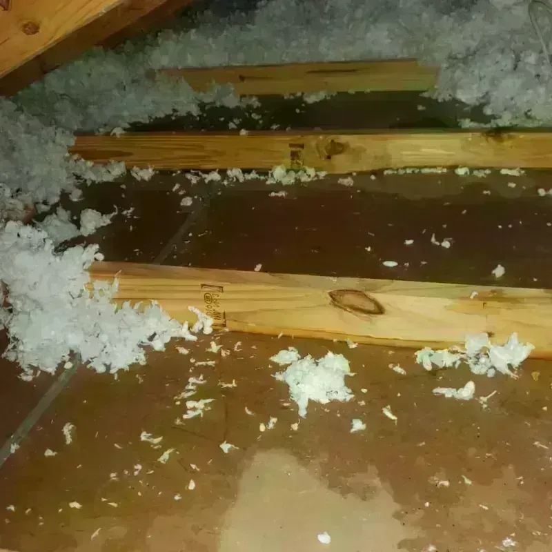 Attic Water Damage in South Thomaston, ME